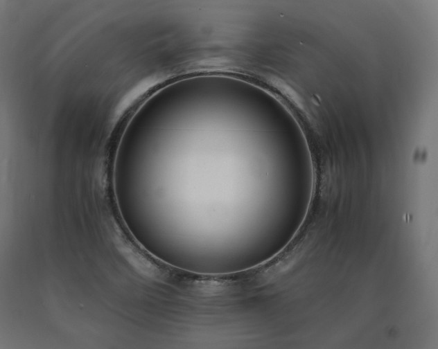 X0000091011458200708021538