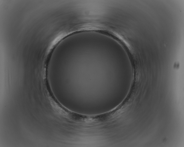 X0000091011459200708021538