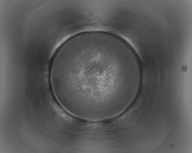 X0000091011460200708021538