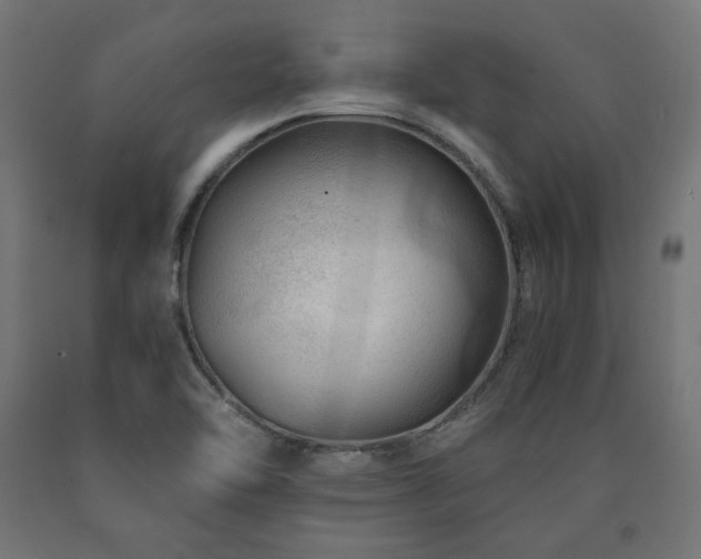 X0000091011462200708021538