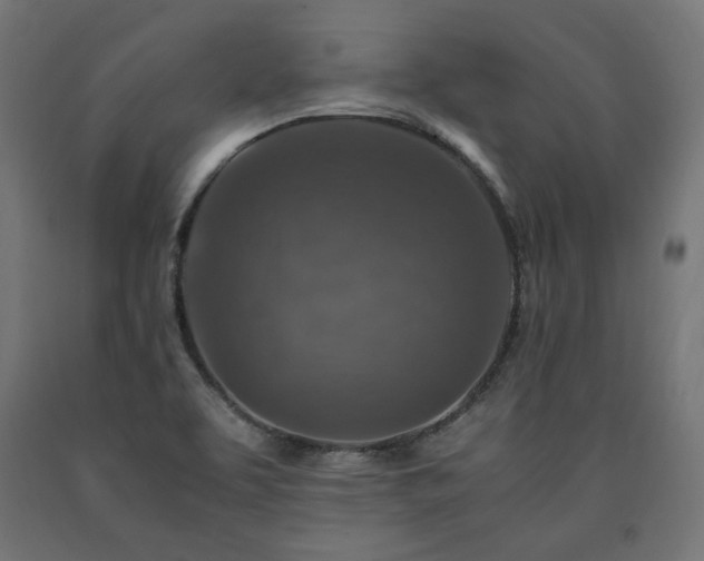 X0000091011463200708021538