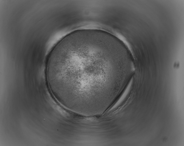 X0000091011464200708021538