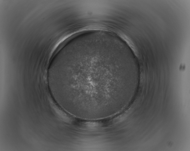 X0000091011465200708021538
