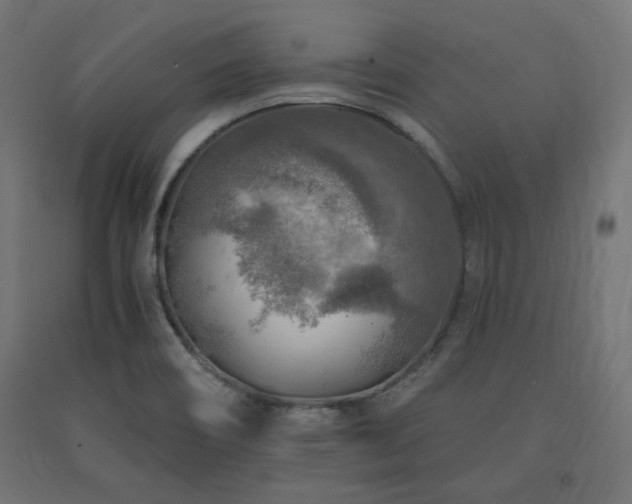 X0000091011466200708021538