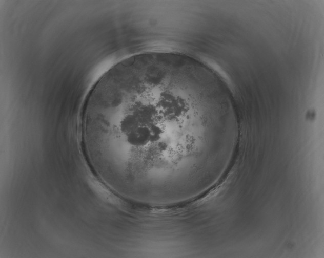 X0000091011467200708021538