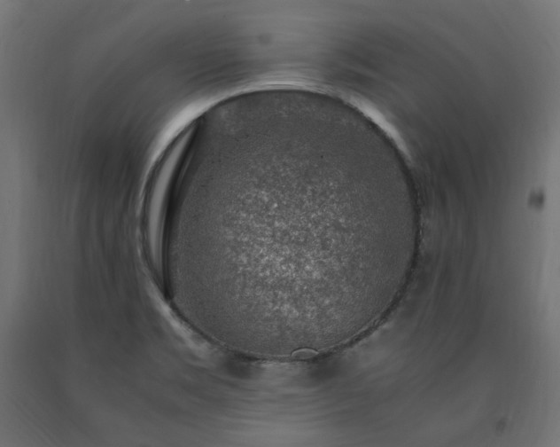 X0000091011469200708021538