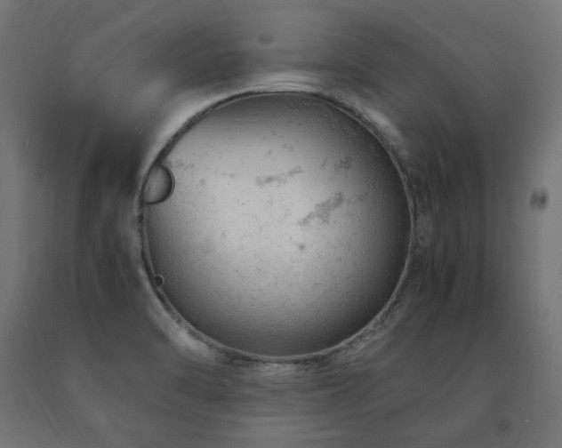 X0000091011470200708021538