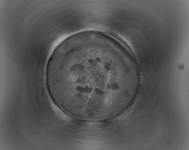 X0000091011471200708021538