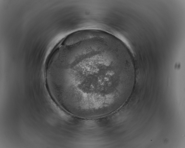 X0000091011472200708021538