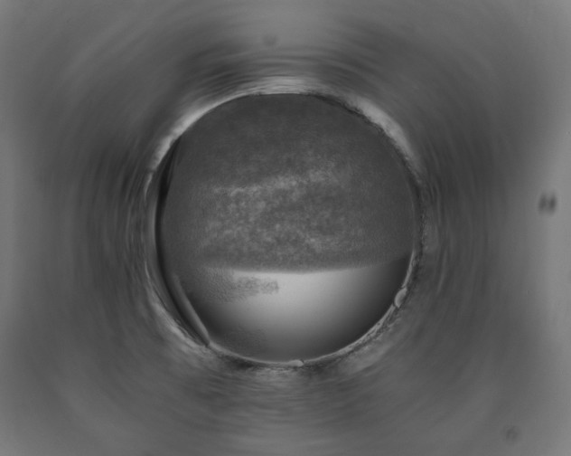 X0000091011473200708021538
