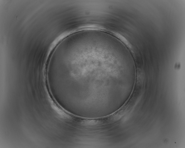 X0000091011474200708021538