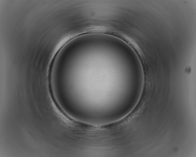 X0000091011475200708021538