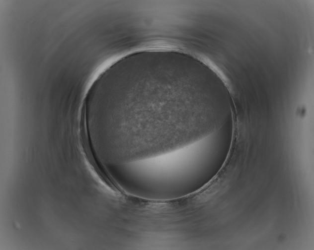 X0000091011477200708021537