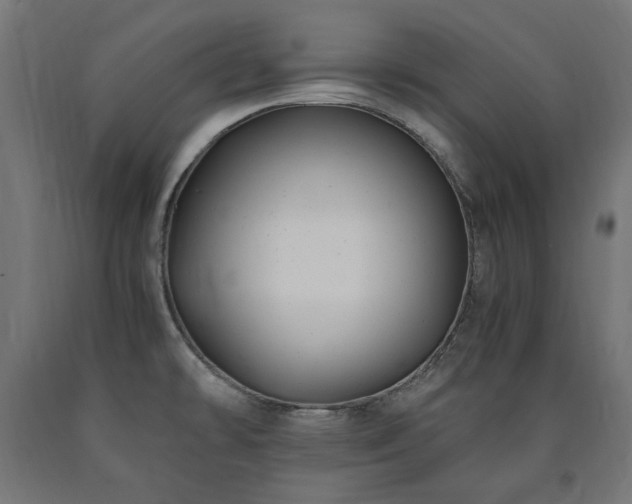 X0000091011478200708021537