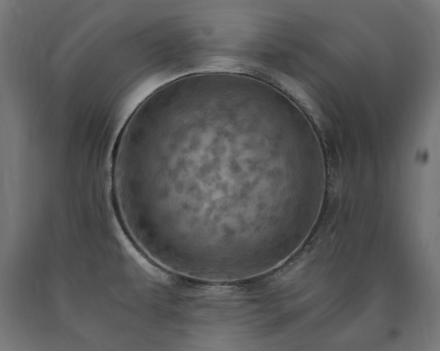 X0000091011479200708021537