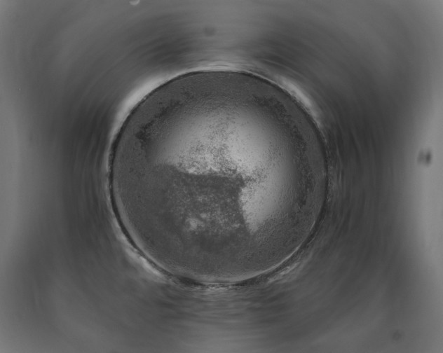 X0000091011480200708021537