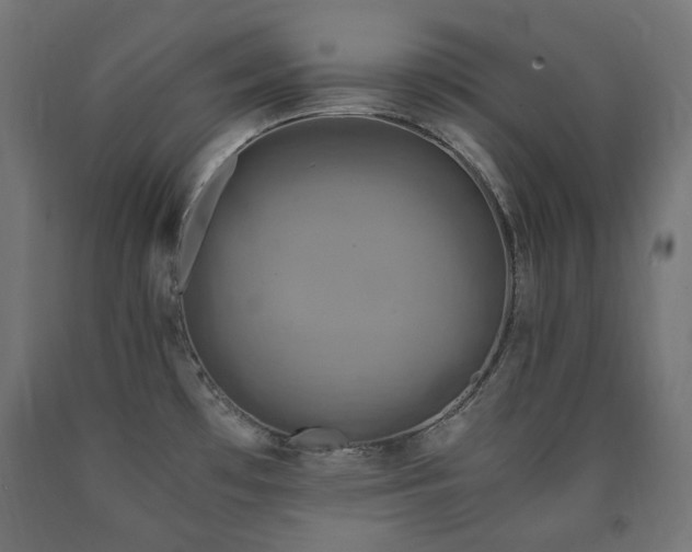 X0000091011481200708021537
