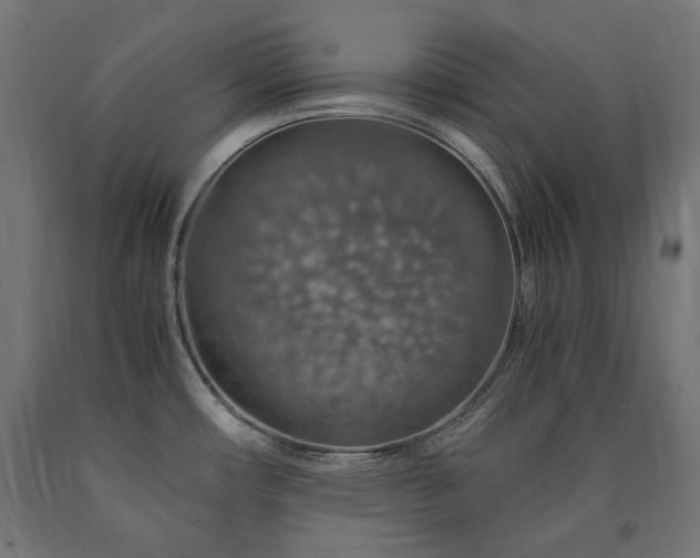 X0000091011482200708021537