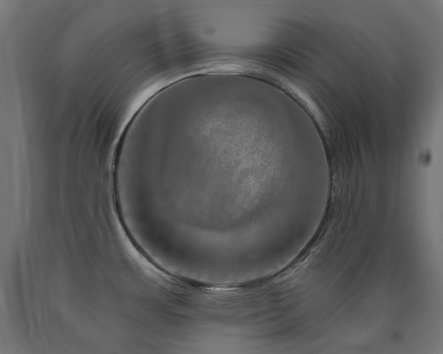 X0000091011483200708021537