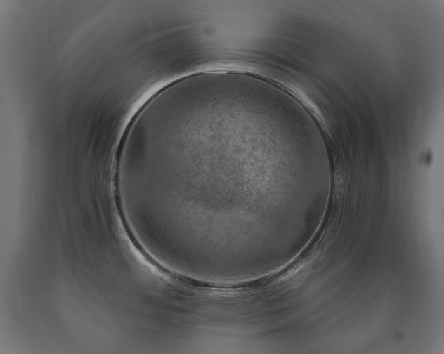 X0000091011484200708021537