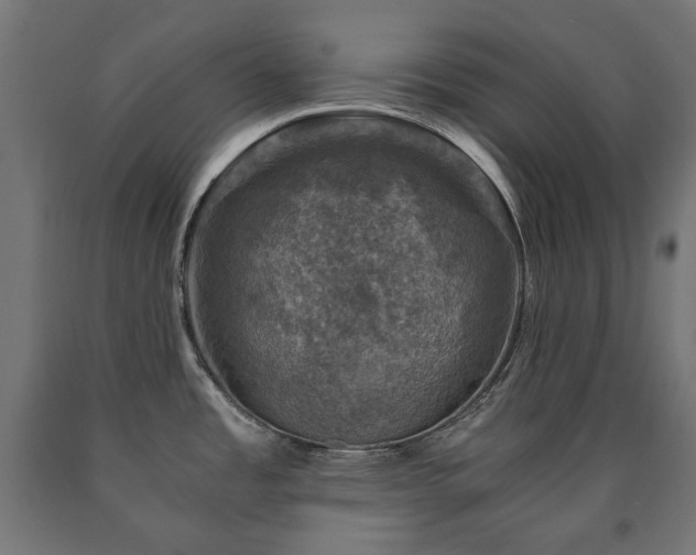 X0000091011485200708021537