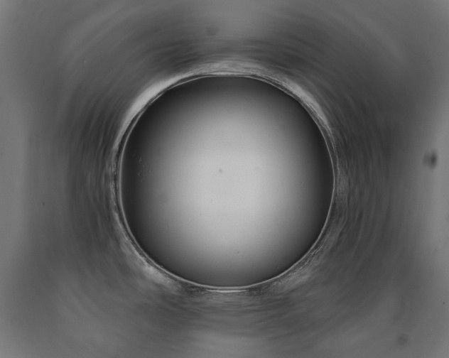 X0000091011486200708021537