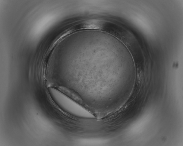 X0000091011487200708021537