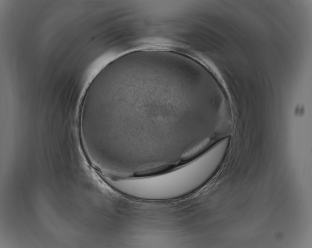 X0000091011488200708021537