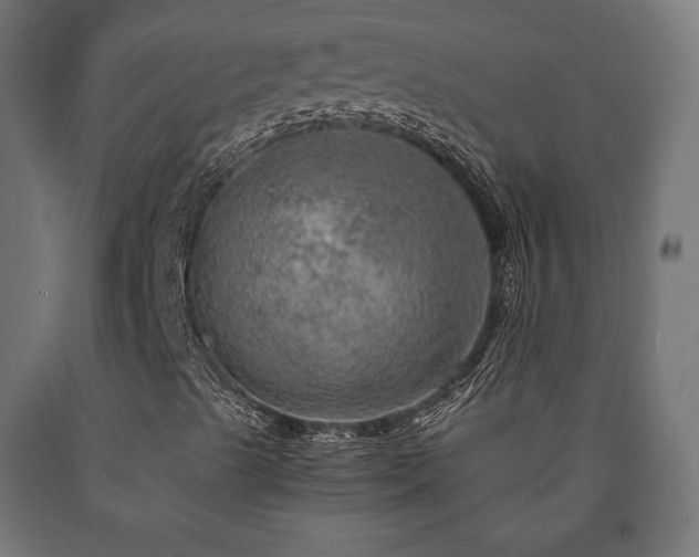 X0000091011489200708021537