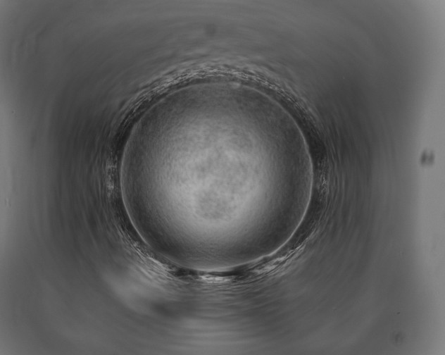 X0000091011490200708021537