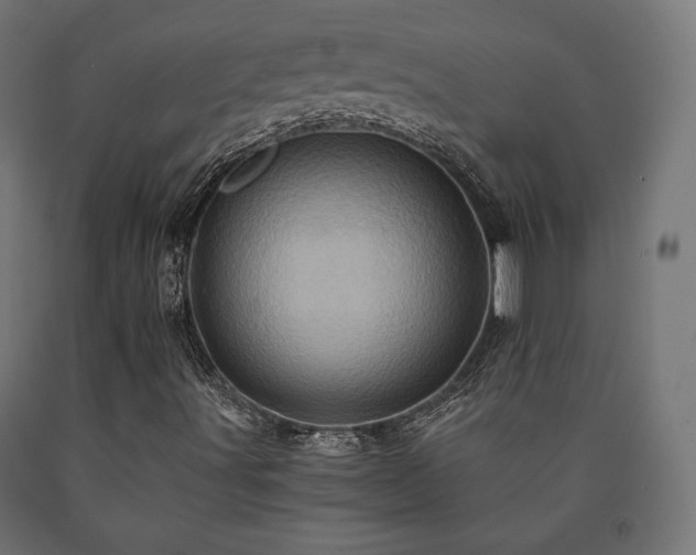 X0000091011491200708021537