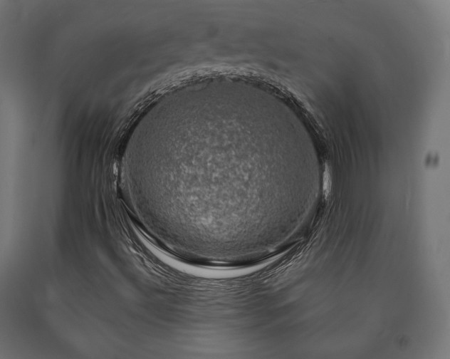 X0000091011492200708021537