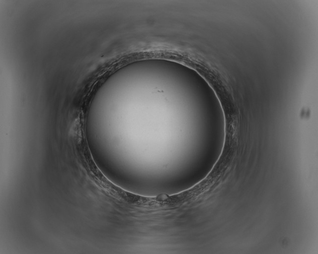 X0000091011493200708021537