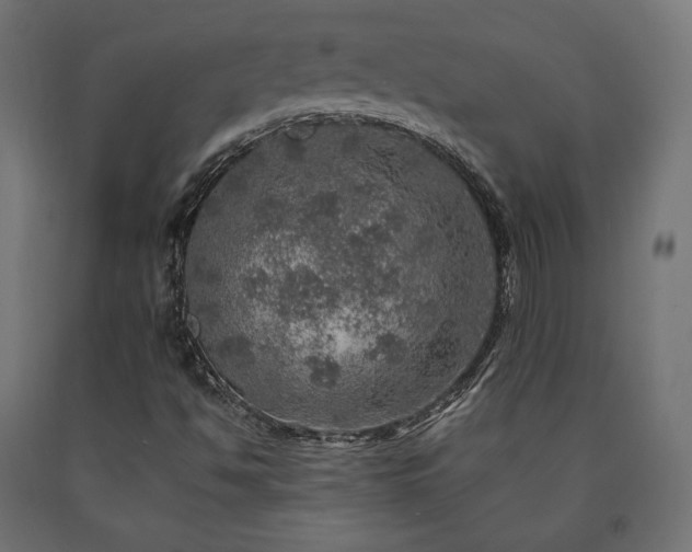 X0000091011494200708021537