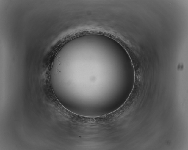 X0000091011495200708021537