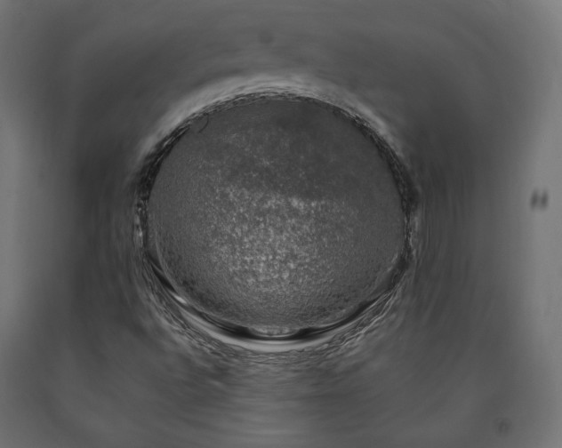 X0000091011496200708021537
