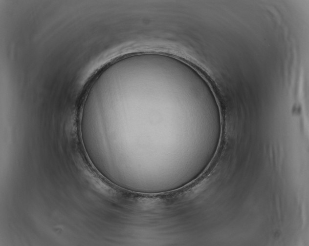 X0000091011498200708021537