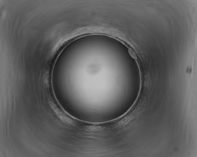 X0000091011499200708021537