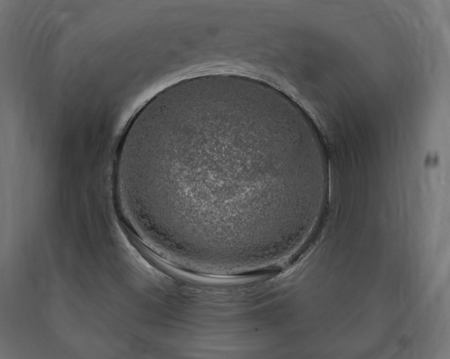 X0000091011500200708021537