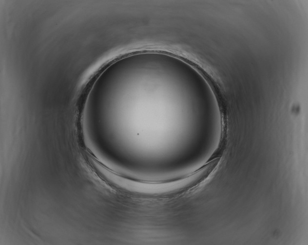 X0000091011502200708021537