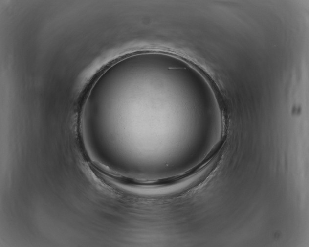 X0000091011503200708021537