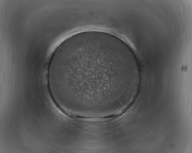 X0000091011504200708021537