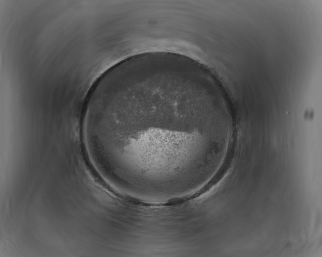 X0000091011505200708021537