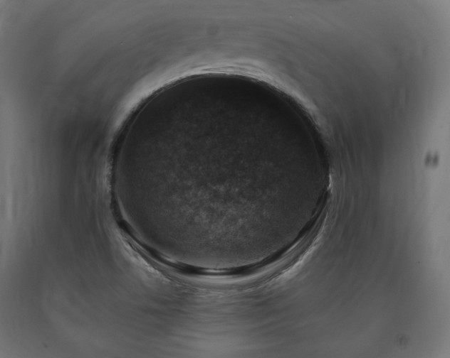 X0000091011506200708021537