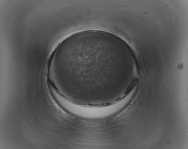 X0000091011508200708021537
