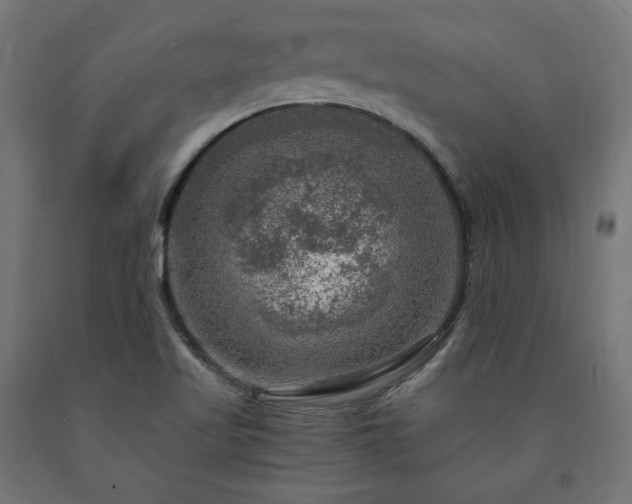 X0000091011509200708021537