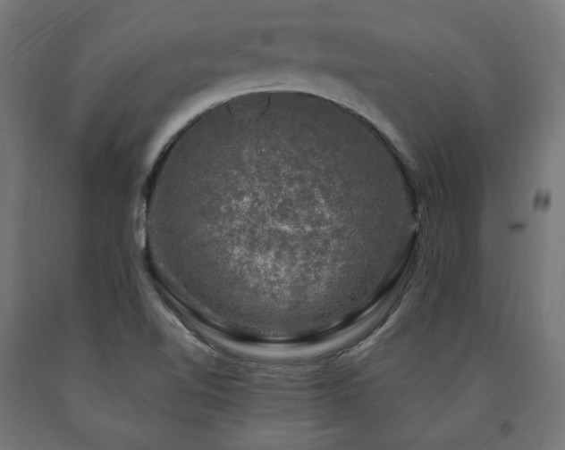 X0000091011510200708021537