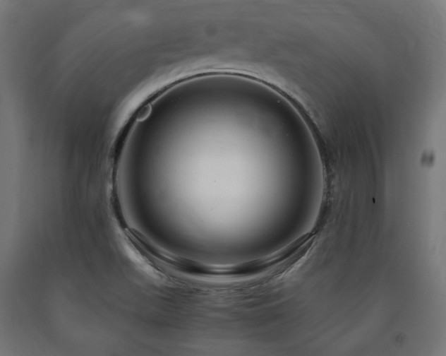 X0000091011511200708021537