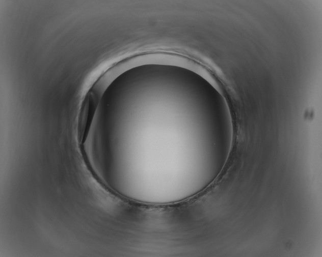X0000091011512200708021537