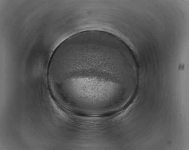 X0000091011513200708021537